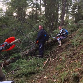 Trail Clearing Canfield